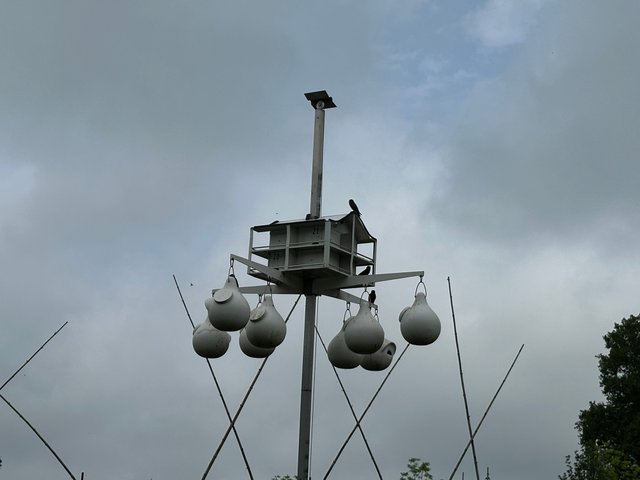 IMG_5505.jpeg