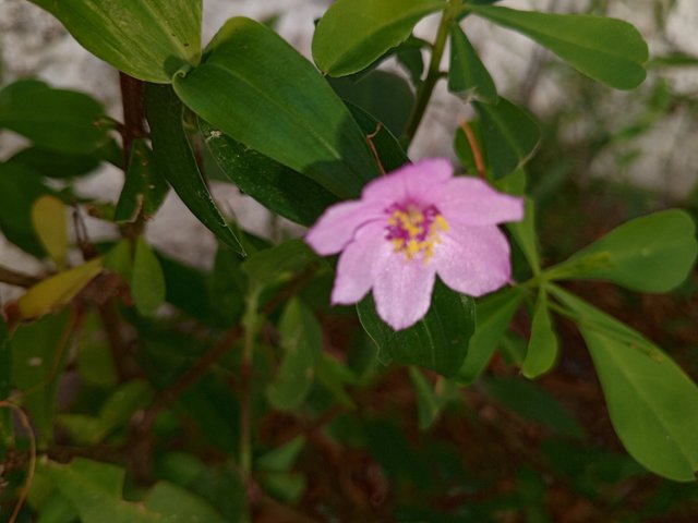 IMG_20250509_085905_756.jpg