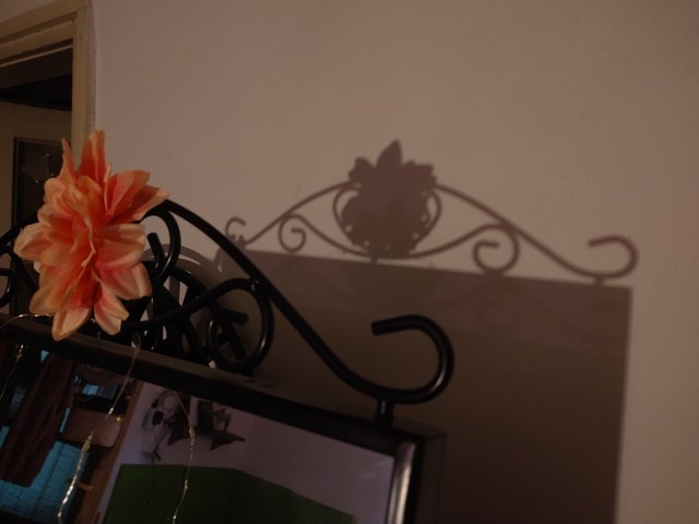 IMG_20250719_140141904.jpg