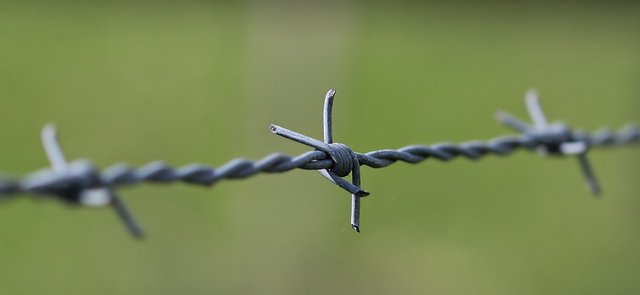 barbed-wire-2797302_960_720.jpg