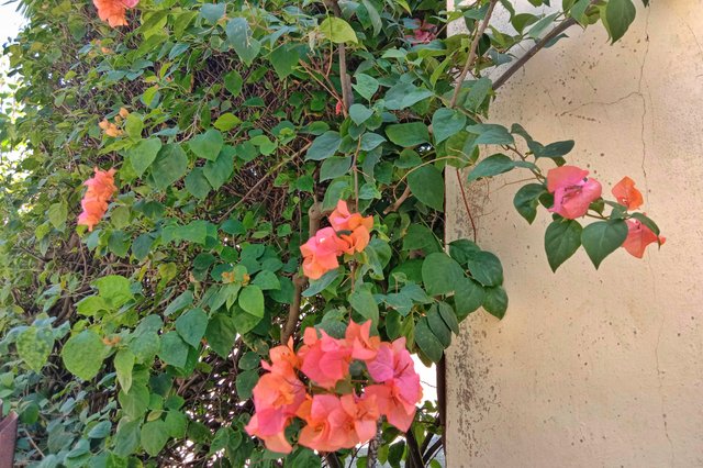 IMG_20250801_162152.jpg