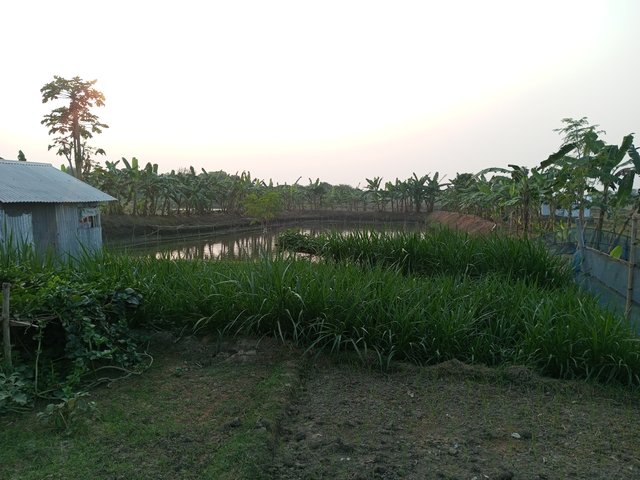 IMG_20231124_162355_559.jpg