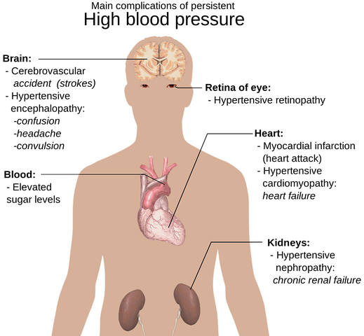 the-human-body-1279987__480.png