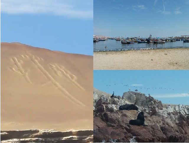 Paracas.jpg