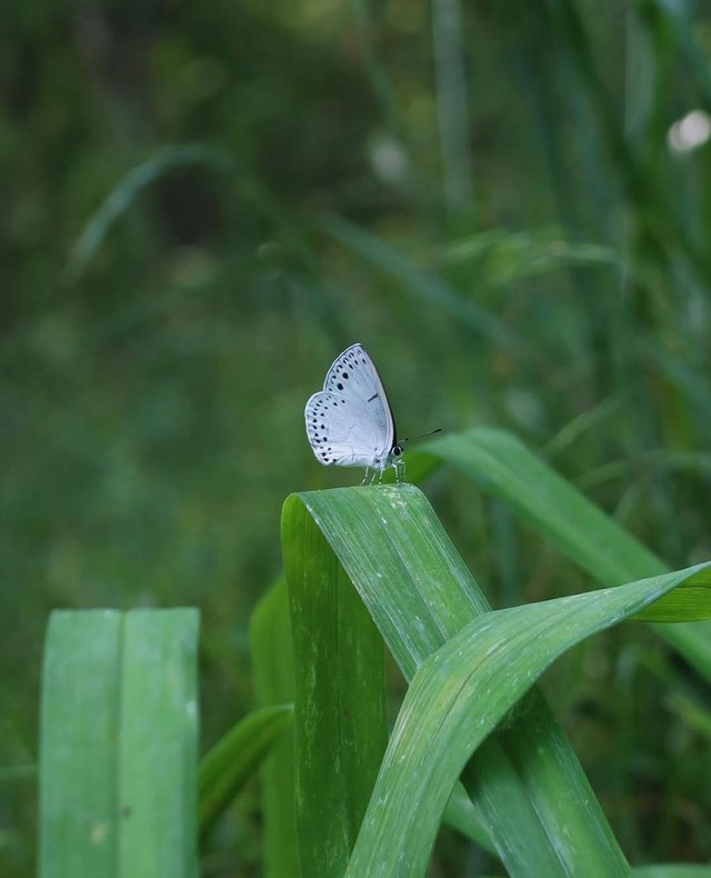 IMG_20250624_103629.jpg