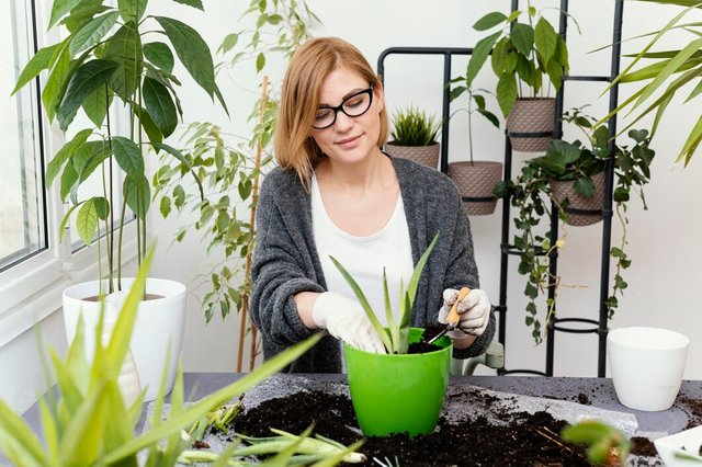 medium-shot-woman-gardening-with-gloves_23-2148826050.jpg