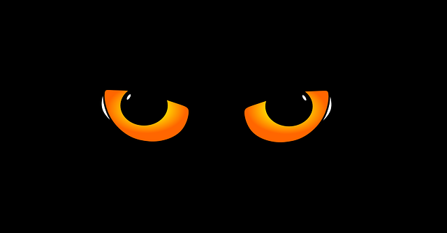 eyes-285825_640.png