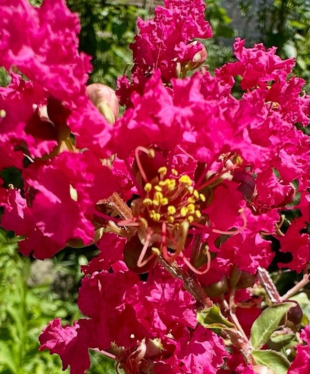 IMG_20250807_203354.jpg