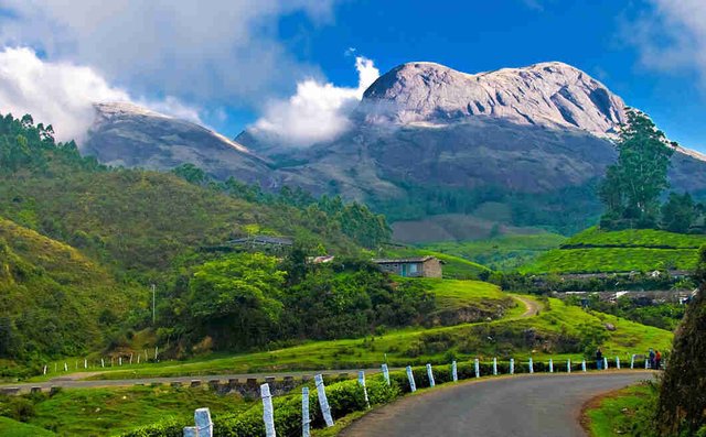 munnar-kerala.jpg