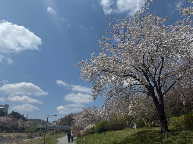 IMG_0841.jpeg