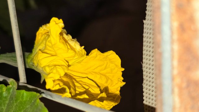 20250214_020919.jpg