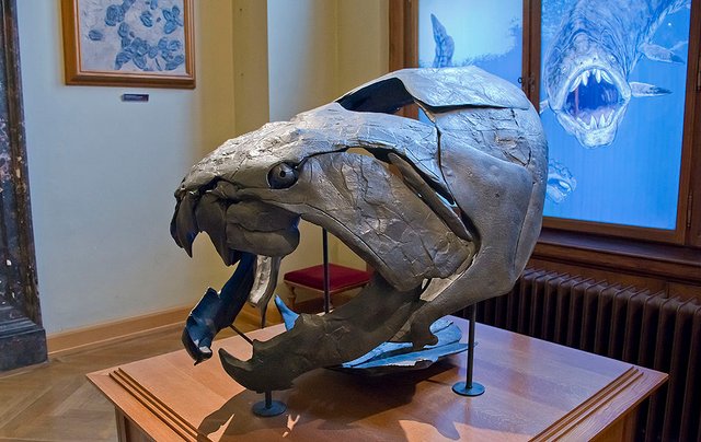 Dunkleosteus.jpg