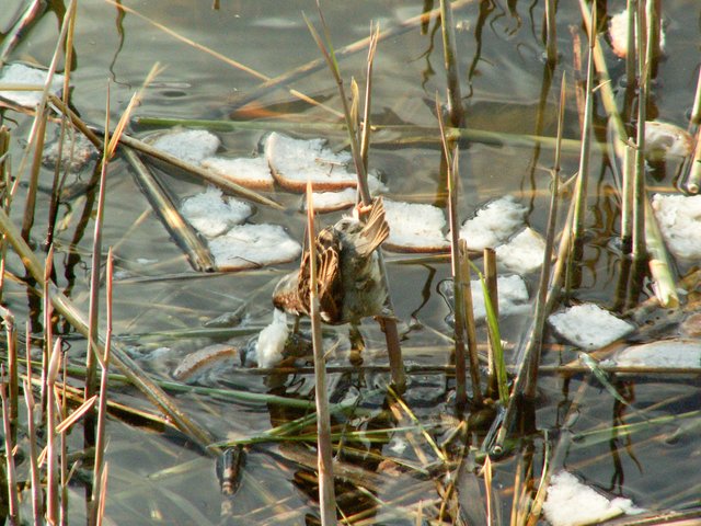 PICT0405.jpg