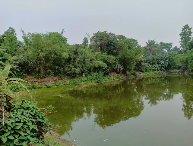 IMG20250506172754.jpg