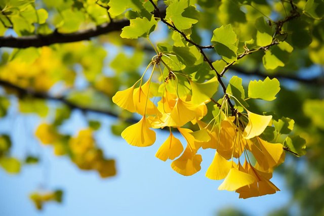 aa8a013c25a4bd5a845a