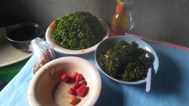 IMG20250807095602.jpg