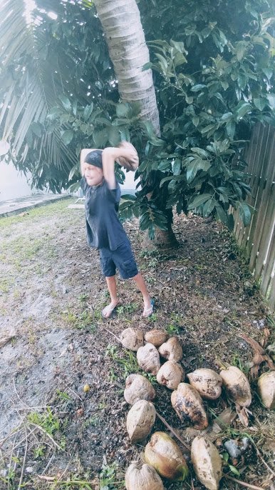 mene defense coconut.jpg