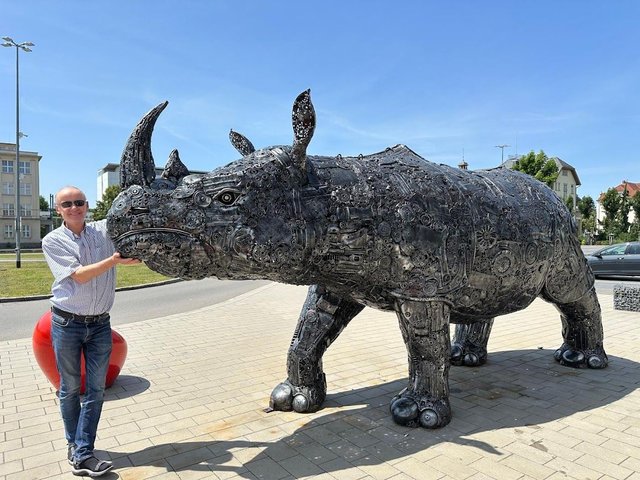 Nashorn im ACC.jpg