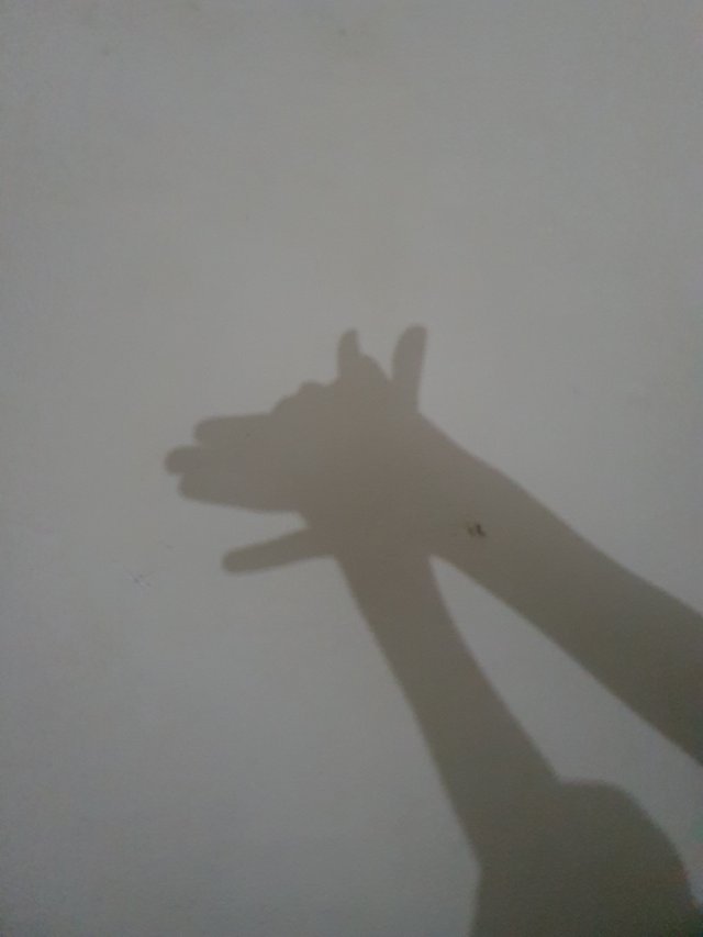 20250625_135133.jpg
