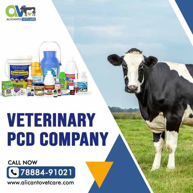 Veterinary-PCD-Company.jpg