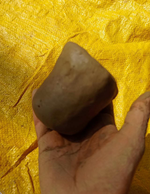 1000008353.jpg
