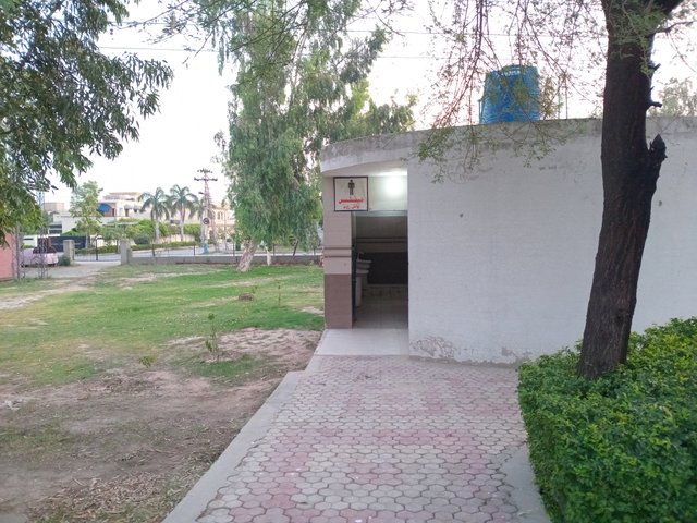 20250619_052107.jpg