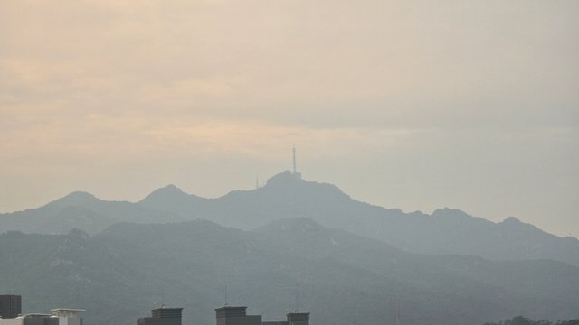 1000133624.jpg
