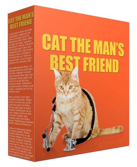 Cat-Mans-Best-Friend.jpg