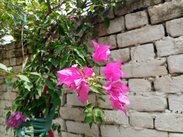 IMG_20250629_120041_458_D5cmuhGw3u.jpeg