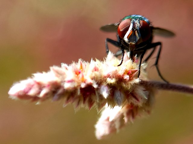 20250504_225539.jpg