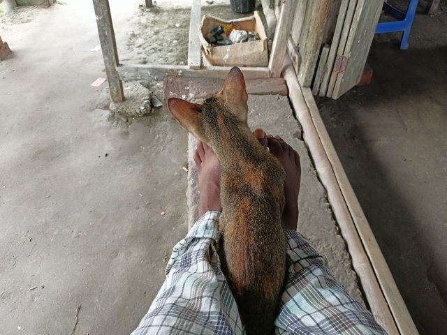 IMG20241002115137.jpg