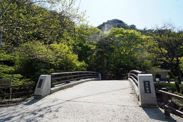 DSC08805.JPG