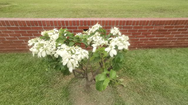 IMG_20240526_141708.jpg