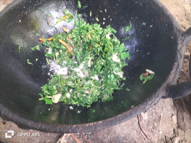 IMG20250613084808.jpg