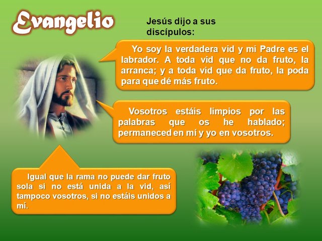 Evangelio+Jesús+dijo+a+sus+discípulos .jpg