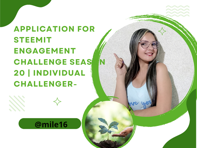 Application for Steemit Engagement Challenge Season 20 _ Individual Challen_20240826_020225_0000.png