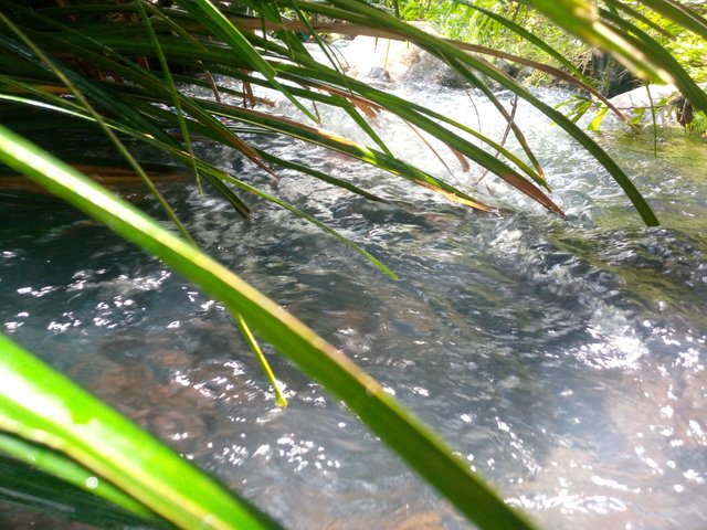 IMG_20220404_125459_728.jpg