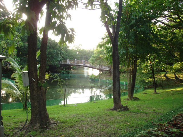 Queen Sirikit Park bridge