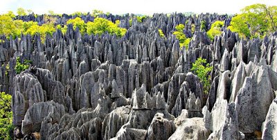 Parque_Nacional_Tsingy_Madagascar.jpg