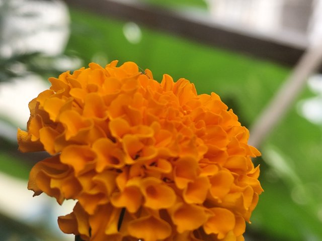 IMG_20250802_130849.jpg