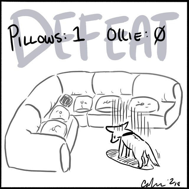 pillows7505.jpg