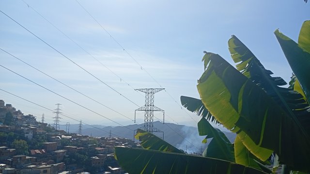 IMG_20250228_094140.jpg