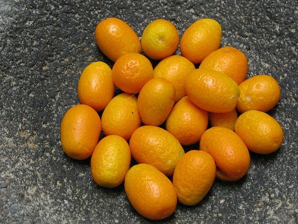 benefits-of-kumquat.jpg