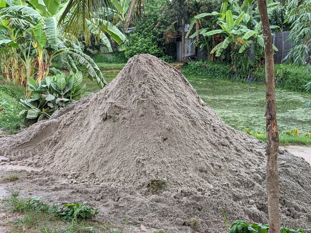 1000039751.jpg