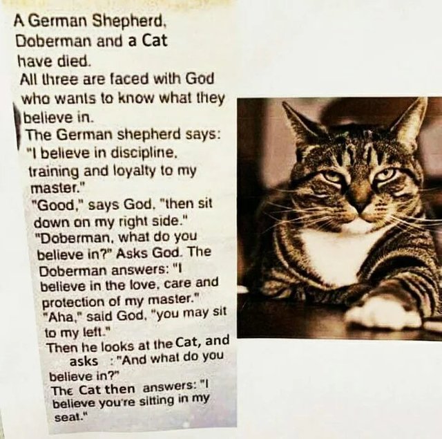 Cats-are-God.jpg