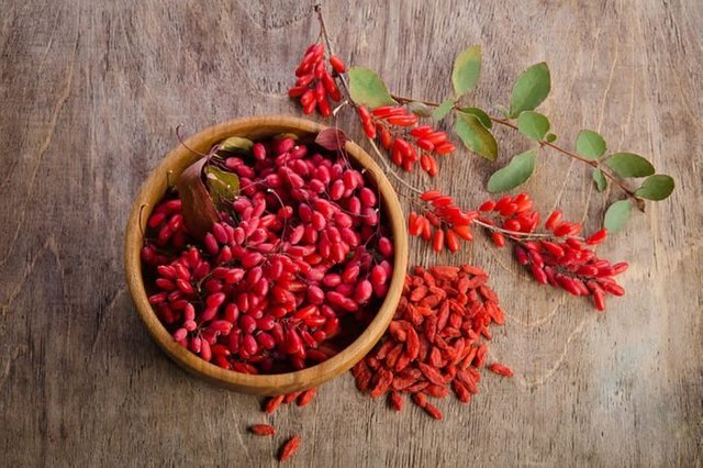 01_GojiBerry_Amazing-Benefits-of-Goji-Berries_239398360_Soyka-760x506.jpg