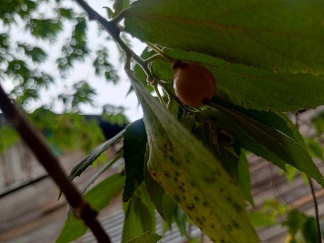 IMG_20250821_172518_798.jpg
