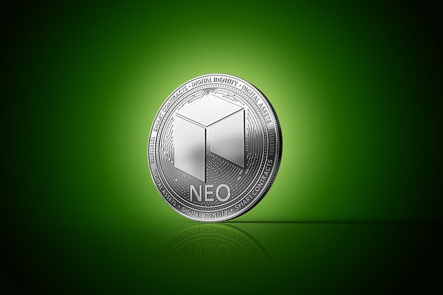 NEO-1.jpg