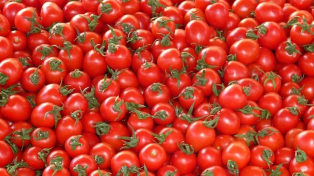 tomates-656x368.jpg