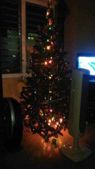 christmas tree.jpeg